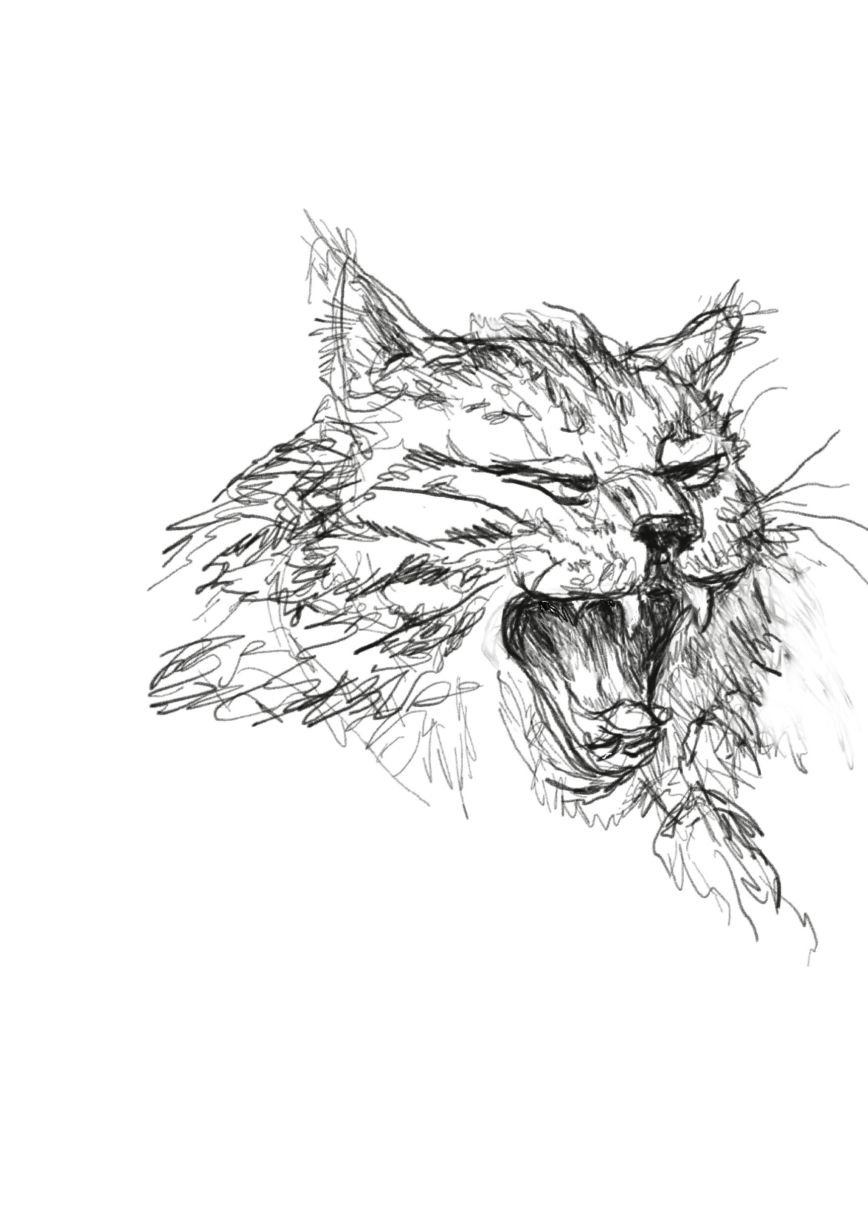 Kater